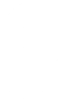 Demiana Gallery Logo